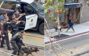 قوة مدججة بالأسلحة وكلب بوليسي .. بالفيديو:لحظة قبض الشرطة الأمريكية على مشرد يحمل عصا خشبية في سان دييغو