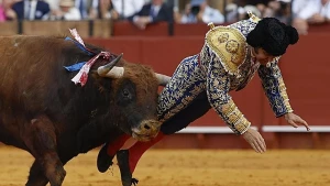 بالفيديو: مصارع ثيران يتعرض لإصابة خطيرة داخل حلبة في إسبانيا