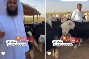 تزامنا مع اقتراب موسم الحج .. بالفيديو: تاجر مواشي يكشف مفاجأة بشأن سعر الخروف النجدي من وزن 100 إلى 115 كيلو