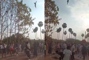 فيديو لهندوس يحتفلون بعيد الهولي بإلقاء القطط في الهواء وتركها تسقط على الأرض بقوة
