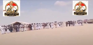 بالفيديو: احتشاد القبائل في محافظة الجوف اليمنية بأسلحتهم ومركباتهم لمواجهة مليشيا الحوثي وطردهم من صنعاء
