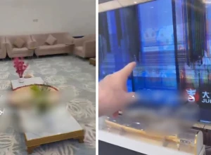 "شوفوا الحقد سبع ضربات للتلفزيون"..  بالفيديو: مواطن يكشف ما فعله مستأجر داخل شقته قبل مغادرتها