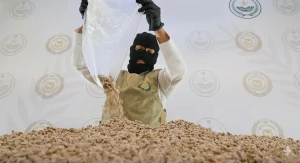 "مُخبّأة في ألواح ورق".. بالفيديو: ضبط  أكثر من 800 ألف قرص «إمفيتامين» مخدر في الشرقية والقبض على مستقبلها