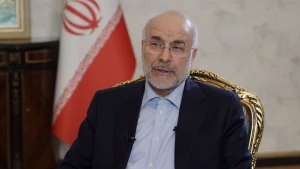 رئيس البرلمان الإيراني: مستعدون للتعاون مع دول المنطقة على أساس عدم التدخل بالشؤون الداخلية واحترام السيادة