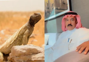 يصدر لأمريكا وألمانيا والنمسا.. بالفيديو: مواطن يكشف تفاصيل أول محمية خاصة لإكثار الضب وعدد الضبان الموجودة فيها