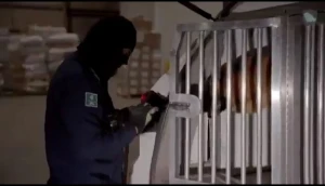 عثر عليها مخبأة بطريقة ماكرة.. بالفيديو.. إحباط تهريب أكثر من 208 ألف حبة من مادة "الإمفيتامين" في جمرك الحديثة والقبض على مستقبليها