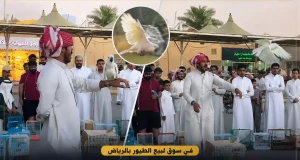 بعد وصول السوم إلى 4 آلاف ريال.. بالفيديو: ببغاء يطير من يد مالكه ويربك مزادًا في سوق الطيور بالرياض