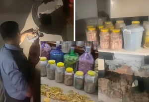 بالفيديو.. لحظة العثور على ملايين الدولارات وسبائك ذهب مخبأة داخل جدران منزل وزير نفط عراقي سابق
