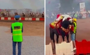 بالفيديو.. لحظة وفاة فارس بعد إصابته بطلق ناري أثناء مشاركته في سباق للخيل بالمغرب