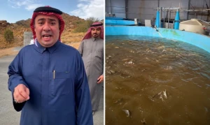 بالفيديو.. صاحب أول مزرعة سلمون بالمملكة يكشف سر نمو الأسماك بالأكسجين وحجم الإنتاج السنوي