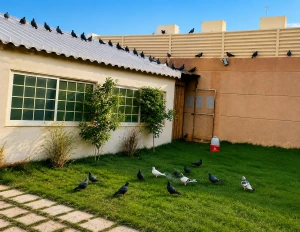 «بسحب عليك .. دابل سبدي بالدنيا وتبي تلحقني بالجنة».. بالفيديو: حوار طريف بين مسن وزوجته بعد حديثه عن الحور العين