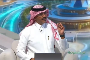 بالفيديو .. طبيب يحذر: الناجتس ليس دجاجًا 100%.. هذا ما يحتويه