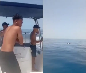 يا وخي خويا خويا.. بالفيديو: لحظة عثور شاب تونسي على جثمان أخيه في عرض البحر