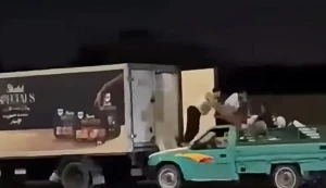 القبض على أحد اللصوص المتهمين في واقعة أغرب سرقة في مصر