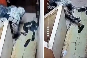 مصر .. بالفيديو.. سيدة تسرق الأحذية والسجاد من أمام شقق عمارة في وضح النهار بالقليوبية