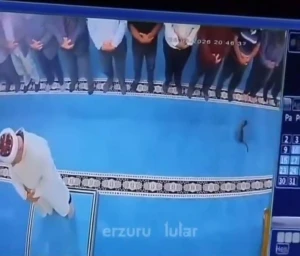 طارت من فوق رأس الإمام .. بالفيديو.. مصلي تركي يركل قطة بقوة أثناء الصلاة في مسجد بمدينة أرضروم