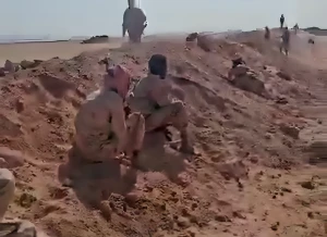 بالفيديو.. القوات المسلحة اليمنية تحرر «تبة المصارية» غرب مأرب من ميليشيا الحوثي