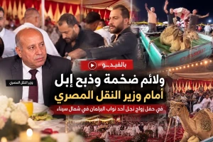 فيديو لولائم ضخمة وذبح إبل أمام وزير النقل المصري في حفل زواج نجل أحد نواب البرلمان في شمال سيناء