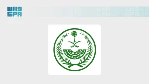 بيان عاجل من الداخلية بشأن ملابسات حادث "فلاي دبي".. والكشف عن الإجراء المتخذ تجاه الطيار ومساعده بعد تحسن حالتهما الصحية