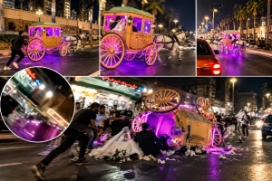 انتهت بانقلاب العربة بهما.. بالفيديو: حصان يهرب بعريس وعروسته ليلة زفافهما دون سائق في مصر