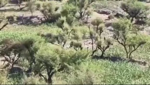 بالفيديو: هروب جماعي لعناصر الحوثي من «يفرس» عقب هجوم للقوات المسلحة  والمقاومة اليمنية
