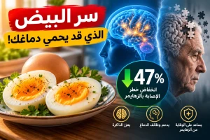 الكشف عن نتائج دراسة علمية تكشف مفاجأة بشأن تناول بيضتين أسبوعيًا.. وعلاقتهما بخطر الإصابة بألزهايمر