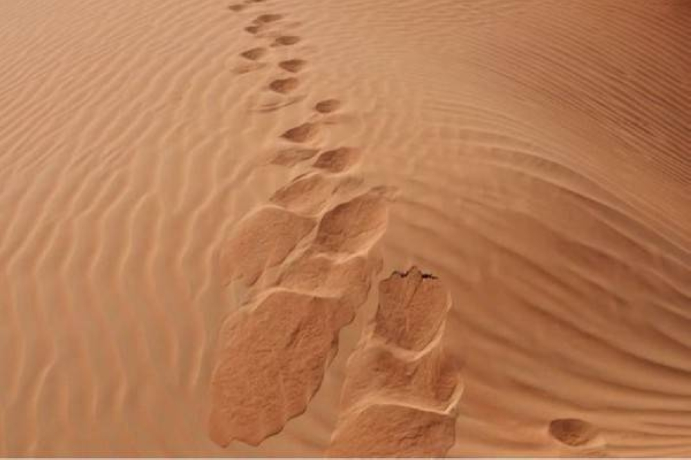 بعد 7 أشهر من اختفائه.. العثور على مفقود العمارية على هذه الحالة!