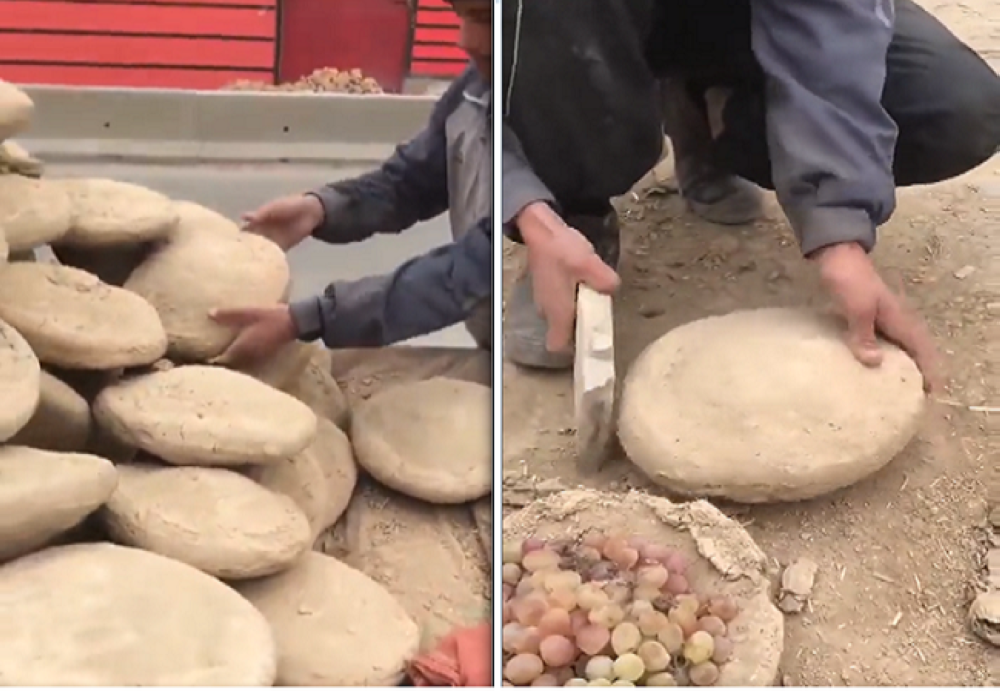 شاهد: طريقة غريبة في أفغانستان لحفظ العنب طازج كما هو لمدة عام