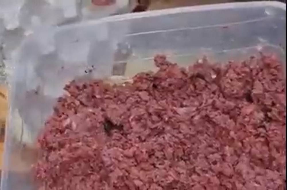 فيديو صادم .. شاهد: إعداد حواوشي من "كراتين البيض" بدلا من اللحوم بطريقة لا تخطر على بال