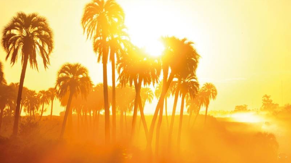 "الأرصاد" تكشف حالة الطقس اليوم الأحد: حار إلى شديد الحرارة على هذه المناطق!