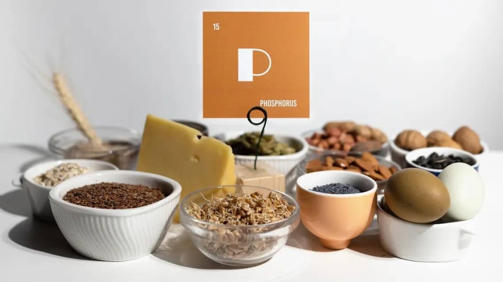 الكشف عن 7 أطعمة غنية بالفسفور لعظام وأسنان أقوى .. وهذه الكمية الموصى بها