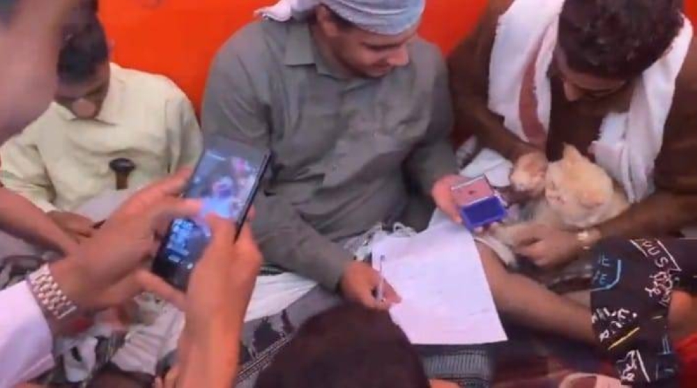 "مأذون ودعوة رسمية للمعازيم".. شاهد.. أغرب حفل عقد قرآن  بين " قط  و قطة"  في عدن