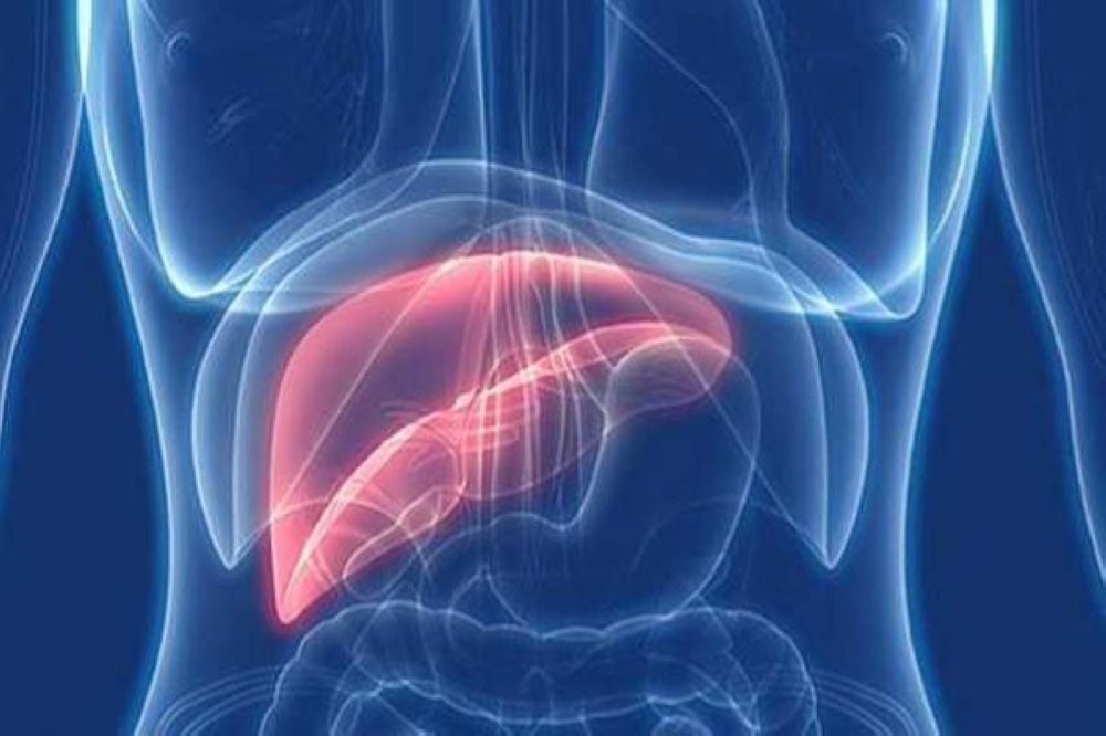 الكشف عن مشروبات شائعة تزيد من خطر الإصابة بسرطان الكبد