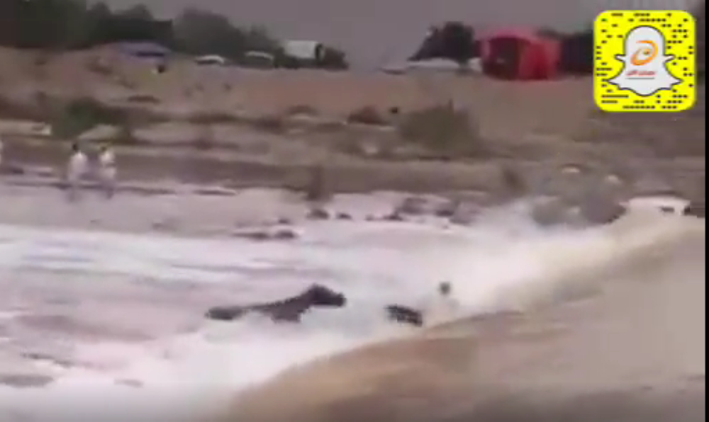 ‏شاهد ..شاب يتسبب في غرق حصانه بعد أن جازف به لعبور وادي في نجران 