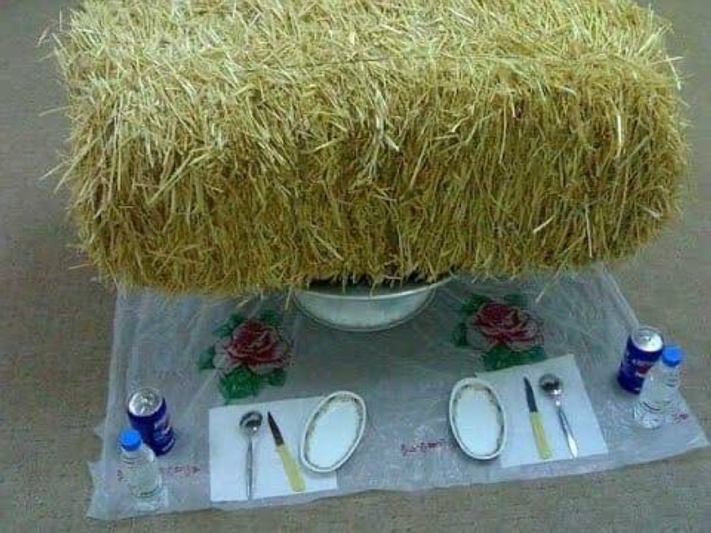 أول توضيح من الدكتور الخضيري بشأن نصيحته  بأكل " التبن" !