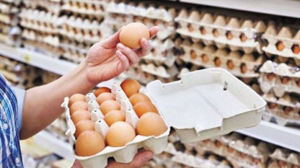 بالفيديو: لجنة منتجي الدواجن تكشف عن طريقة لخفض الأسعار بنسبة 20%