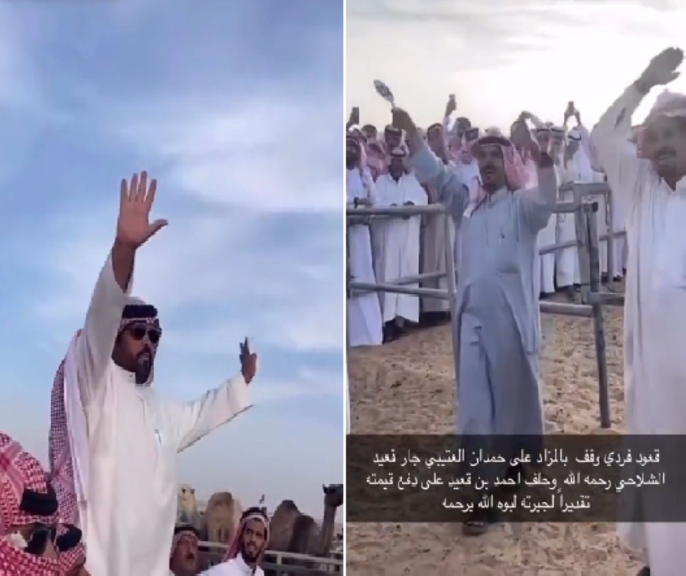 "عليّ الطلاق على حسابي".. شاهد: ردة فعل نجل  الراحل "قعيد الشلاحي" أثناء مزاد على قعود بـ 320 ألف ريال