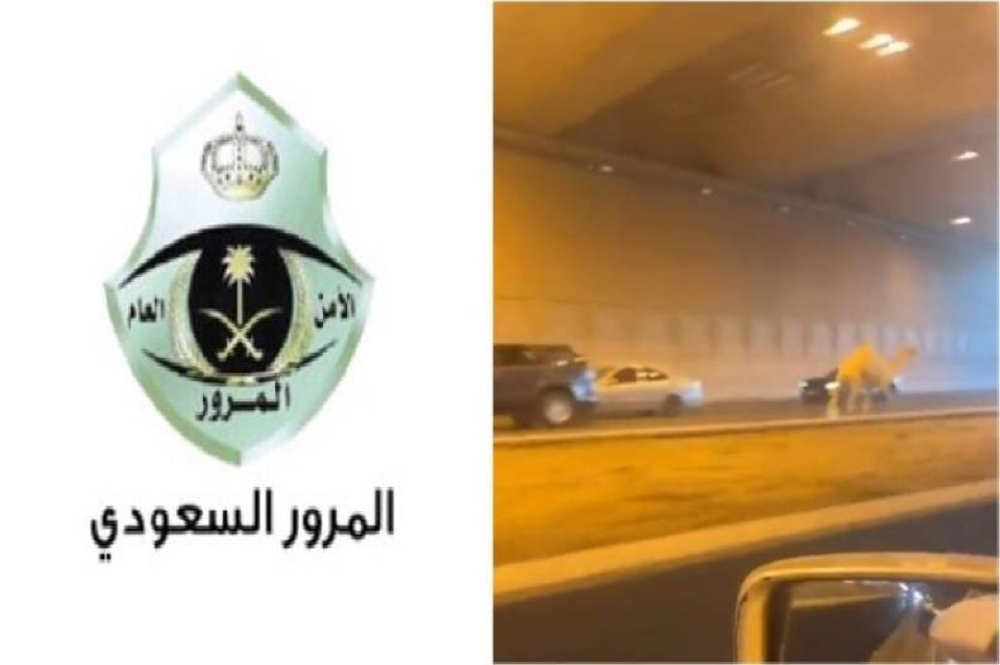 بيان من مرور الرياض بشأن هروب جمل من صاحبه على طريق خريص