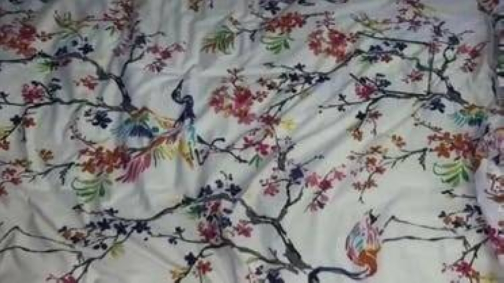 انظر جيدا.. هل أنت قوي الملاحظة ويمكنك اكتشاف النظارات الطبية خلال 11 ثانية فقط؟.. صورة