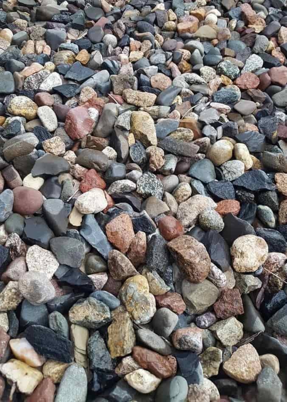 خلال 11 ثانية فقط؟  .. اختبر  سرعة ملاحظتك باكتشاف "ضفدع " مختبئ وسط الأحجار