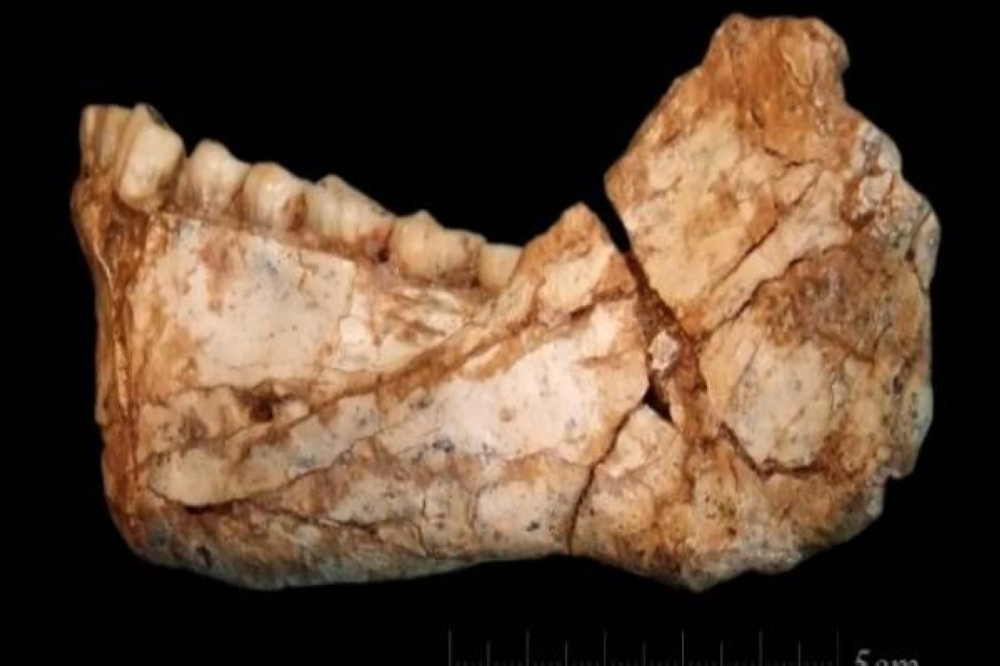 دراسة تكشف مفاجأة بشأن مكان وبداية نشأة الجنس البشري