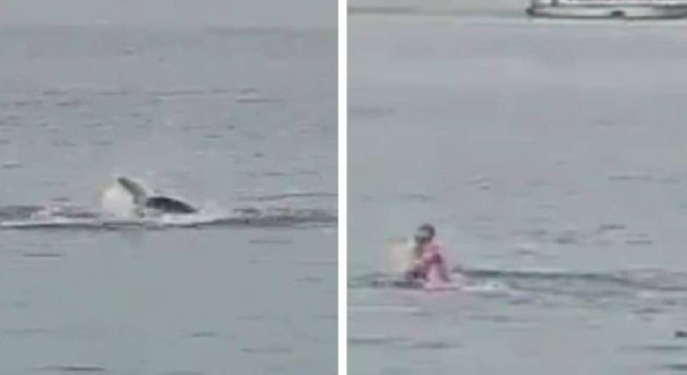 "التهمه أمام عينيه".. والد السائح "الروسي" يروي لحظات الرعب أثناء هجوم القرش على ابنه في الغردقة