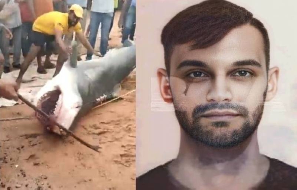 أول تحرك برلماني في مصر بعد التهام سمكة القرش لسائح روسي.. والكشف عن مصير القرش