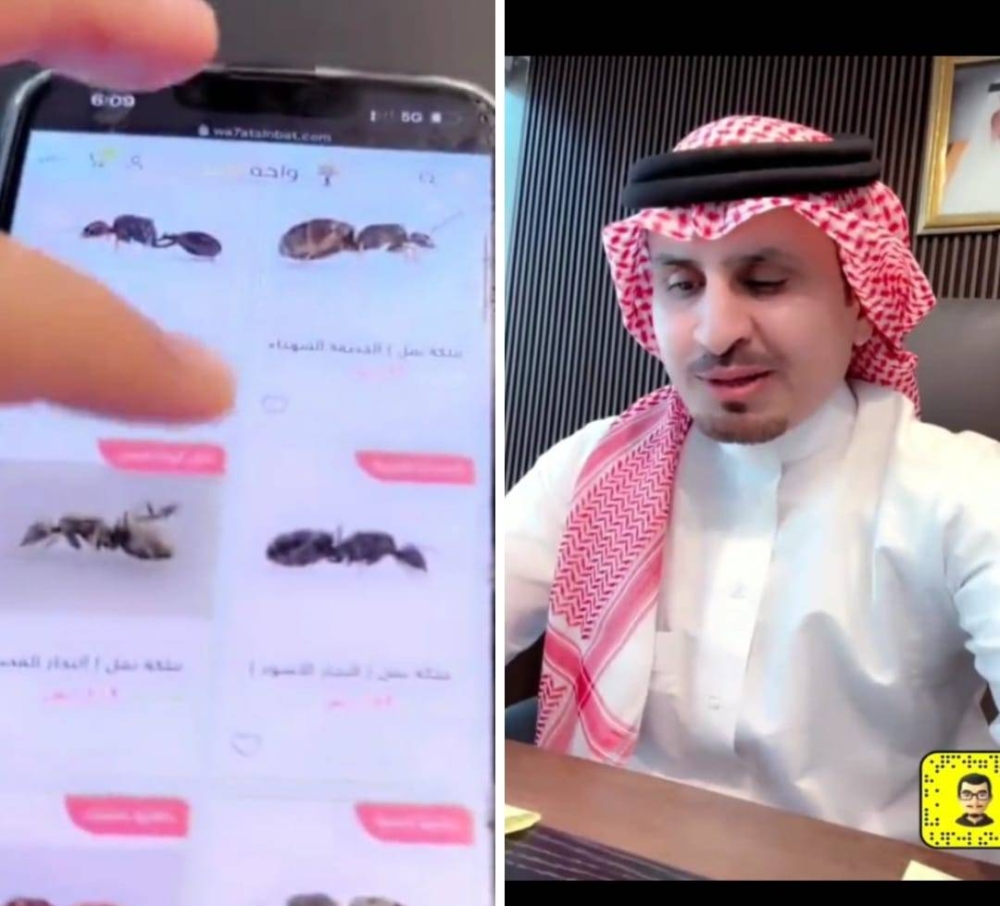 شاهد .. أغرب متجر لبيع النمل .. وسعر صادم للنملة