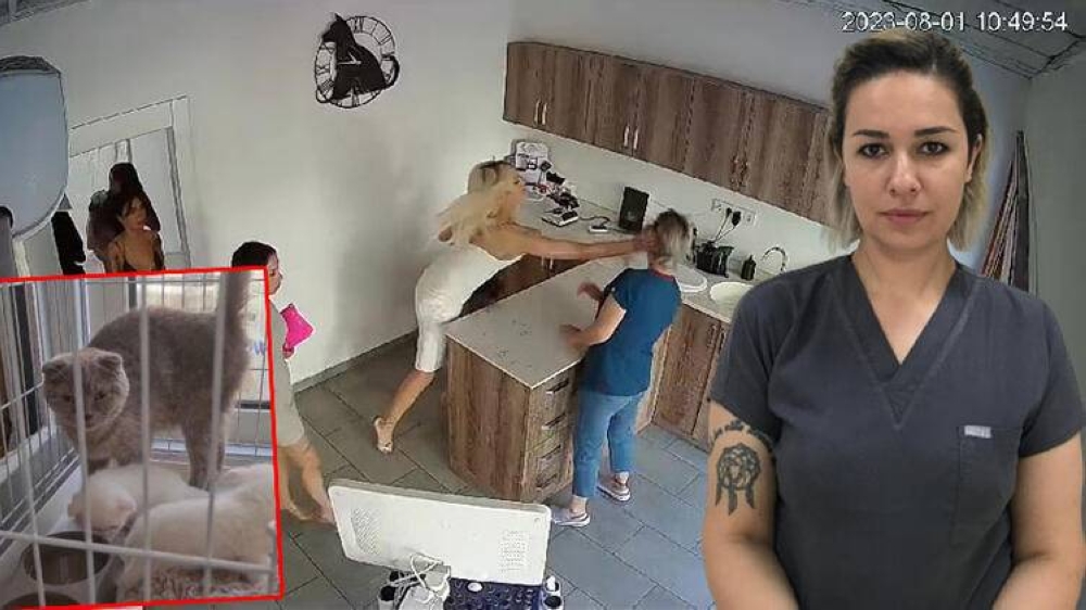 شاهد.. تركي متحول جنسيا يعتدي على طبيبة بيطرية داخل عيادتها بعد وفاة قطته