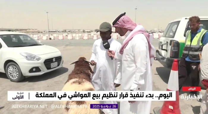 بائع أغنام يكشف سعر "النعيمي البلدي".. وطريقة التفريق بينه وبين السوري