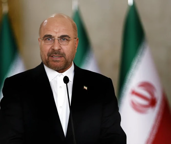 البرلمان الإيراني يبلغ "الوكالة الدولية للطاقة الذرية" بتعليق التعاون معها البرلمان الإيراني يبلغ "الوكالة الدولية للطاقة الذرية" بتعليق التعاون معها