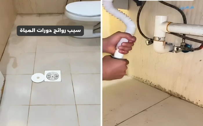 بالفيديو.. مختص يكشف عن أسباب الروائح الكريهة في الحمام وطرق التخلص منها