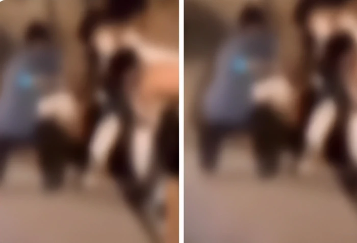 بالفيديو ..  بيان أمني بشأن القبض على 4 مقيمين إثر مشاجرة جماعية في مكان عام بالرياض.. والكشف عن جنسياتهم