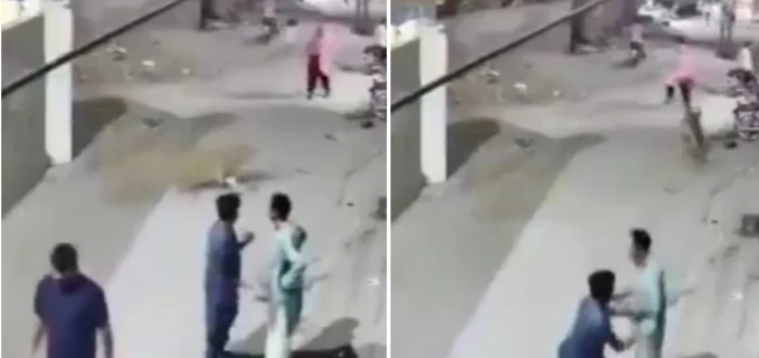 بالفيديو: نمر يلاحق امرأة وطفلين وسط شارع في لاهور الباكستانية